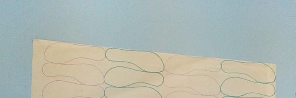 Imagem Ilustrativa